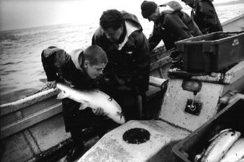 Photograph of Armadale Salmon Fishing