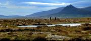 Thumbnail for article : Aiming For A World Class Bog: Celebrate The Flow Country On International Bog Day