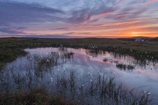 Photograph of Flow Country Green Finance Initiative Begins First Steps And Consultations