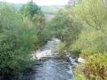 Thumbnail for article : Scottish Natural Heritage Highlights Funding Opportunities For Land Managers