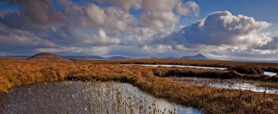 Photograph of Investing In The First Peatland Unesco World Heritage Site In The World